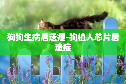 狗狗生病后遗症-狗植入芯片后遗症